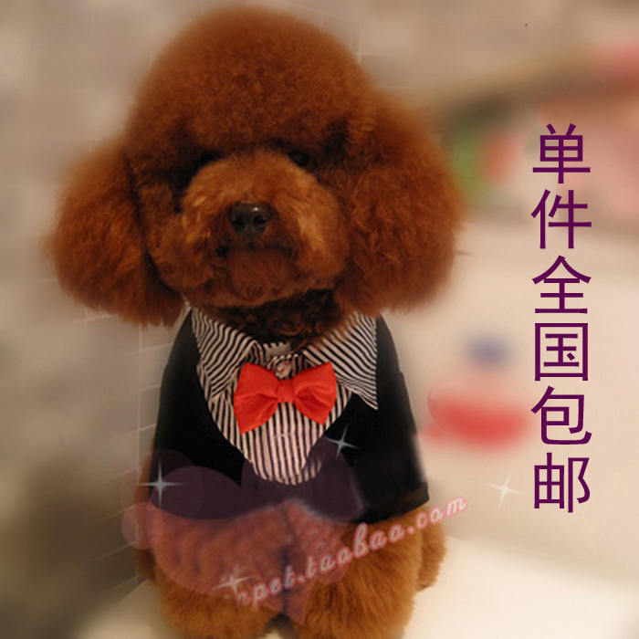 单件包邮宠物衣服秋冬装狗狗西装西服宠物礼服狗狗结婚泰迪比熊在类目 宠物/宠物食品及用品, 宠物服饰及配件, 宠物服装/雨衣中 - 来自Buy2taobao.com提供专业的淘宝代购服务