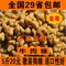 上下架计划:皇尊成犬狗粮5斤宠物狗狗用品食品萨摩耶金毛犬主粮犬粮批发包邮