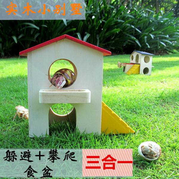 Hermit Crab living thing Pets avoid Climbing Rearing tank Landscaping decorate Reptile Reptile Suppliesin the Pet/Pet food and supplies , Reptile/Insects and supplies Ming , Reptile/Insect appliances Ming category - from Buy2taobao.com to provide professional Taobao agent buy service