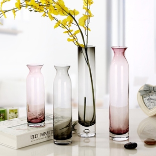 小清新玻璃花瓶透明 创意欧式直筒细长小口花瓶客厅摆件干花花瓶