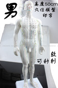 中医教学人体经络模型专业练习针灸，小人穴位模型男50cm人体软模特
