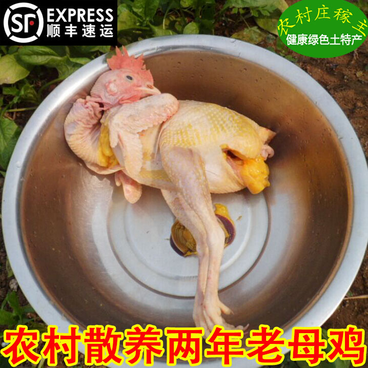農家散養二年老母雞土雞柴雞農村笨雞 走地雞草雞月子雞 順豐包郵在類目 水產肉類/新鮮蔬果/熟食, 生肉/肉製品, 雞肉類, 整雞中 - 來自Buy2taobao.com提供專業的淘寶代購服務