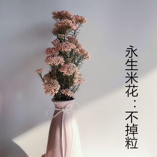 干花花束粉色米花插花北欧创意，清新家居装饰永生花花材拍摄道具