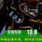 上下架计划:东北特产野生秋木耳小碗耳 长白山椴木黑木耳 100g 1袋包装包邮