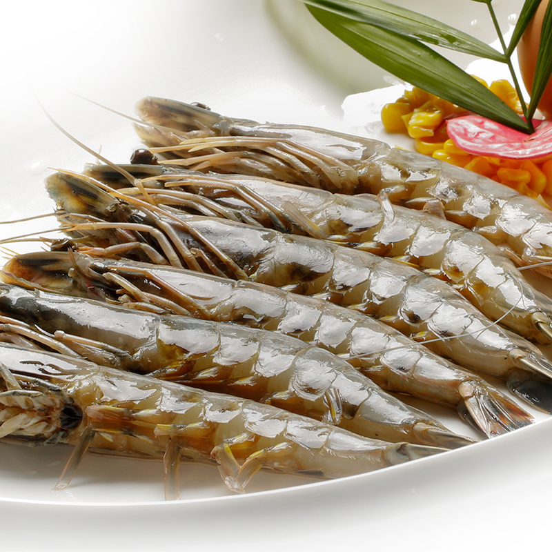南海野生黑虎虾 海鲜 斑节虾 大对虾 海虾10-12只/500g价格|msdalam kategori daging perikanan/Buah-buahan segar dan sayur-sayuran/dimasak, makanan laut/produk akuatik/produk, udang, udang beku - dari Buy2taobao.com untuk memberikan perkhidmatan ejen Taobao profesional membeli