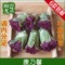 上下架计划:任意6款包邮特级康乃馨花茶排毒养颜 调节内分泌50克特价