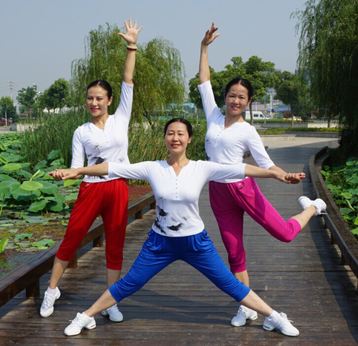 恋歌恋舞广场舞新款 杨艺 応子 啦啦爱Z005 K008印花上衣 七分裤