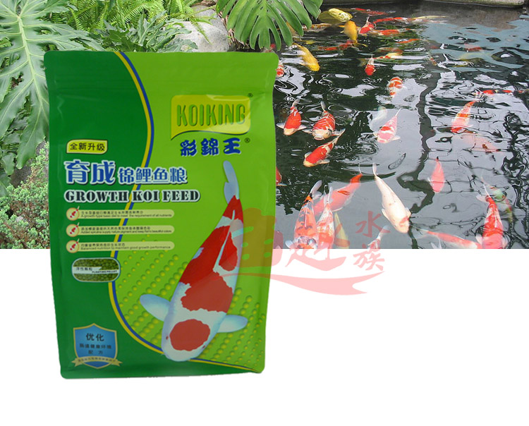 彩锦王锦鲤鱼饲料育成均衡胚芽增色增艳主食速长鱼食增色增体包邮在类目 宠物/宠物食品及用品, 水族世界, 观赏鱼饲料中 - 来自Buy2taobao.com提供专业的淘宝代购服务