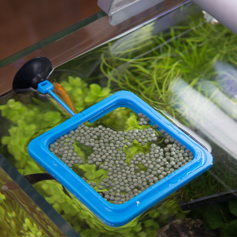 喂食圈投食圈喂食圈水族箱投食器小型鱼缸漂浮投喂鱼食漂浮圈|ruв категории животное/Животное питание и принадлежностей, аквариум мира, аквариум аквариум оборудования и т.д., питатель - от Buy2taobao.com для оказания профессиональной услуги покупки агента Taobao