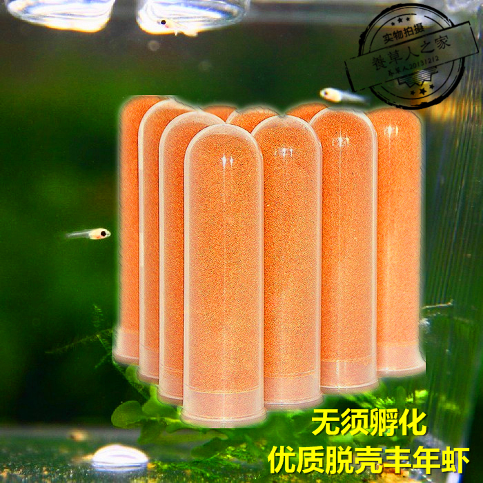 脱壳丰年虾卵脱壳卵灯科鱼孔雀鱼小型热带鱼饲料免孵幼鱼鱼粮在类目 宠物/宠物食品及用品, 水族世界, 观赏鱼饲料中 - 来自Buy2taobao.com提供专业的淘宝代购服务