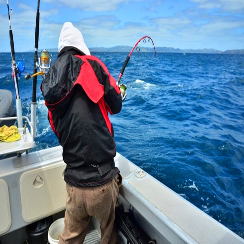 Car U.S.A Travel? Orlando Florida Clearwater Fishing diving surfing Parenting Sandy beach one-day tourin the Holiday Line/Visas send off/Travel services , Visit/Tuanyou , Overseas local fun category - from Buy2taobao.com to provide professional Taobao agent buy service