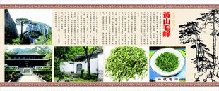 639海报展板喷绘素材贴纸图片244名茶之黄山毛峰简介迎客松黄山