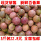 上下架计划:现货 广西现摘新鲜百香果 西番莲 鸡蛋果3斤 22.8元 全国包邮