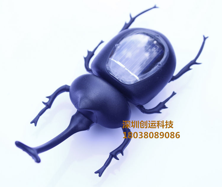 太阳能甲虫 趣味玩具 特价创意礼品 益智玩具 科教启蒙 生日礼物在类目 玩具/童车/益智/积木/模型, 其它玩具中 - 来自Buy2taobao.com提供专业的淘宝代购服务