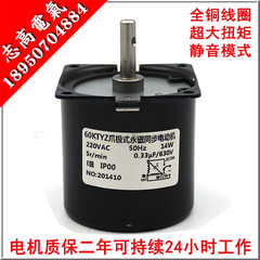 低速微型 交流220V 60KTYZ永磁同步电机 减速