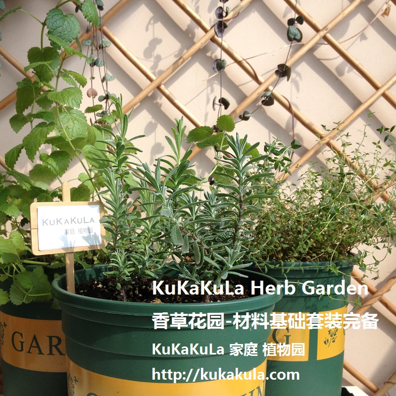 家庭植物园-香草花卉基础材料套装-适合新手-包邮-KUKAKULA在类目 鲜花速递/花卉仿真/绿植园艺, 园艺用品, 其它园艺用品中 - 来自Buy2taobao.com提供专业的淘宝代购服务