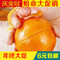 上下架计划:B159 出口日本老鼠开橙器/剥橙器/剥皮器~薄厚皮都顺手