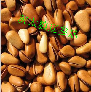 Northeast Specialty Pinus child Opening Pine nuts Hand stripping Pinus child nut Dry Fruits snacks Delicious dried fruit Fullin the Snacks/Nuts/Specialty , Hickory/Nuts/Roasting , Pine nuts category - from Buy2taobao.com to provide professional Taobao agent buy service