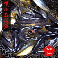 新鲜野生河鱼-籽 纯天然小溪鱼满三斤包野生小