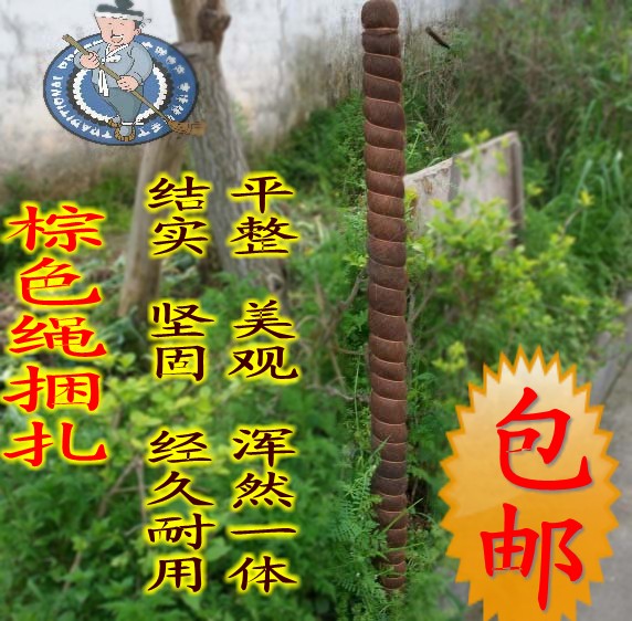 Rod Brown Scindapsus coconut fiber Green radish sticks Scindapsus Can be customized Flower pot flowers and plants Green plant Potted plant bonsaiin the Flower delivery/Flowers simulation/Plants gardening , Gardening supplies , Other Garden Supplies category - from Buy2taobao.com to provide professional Taobao agent buy service