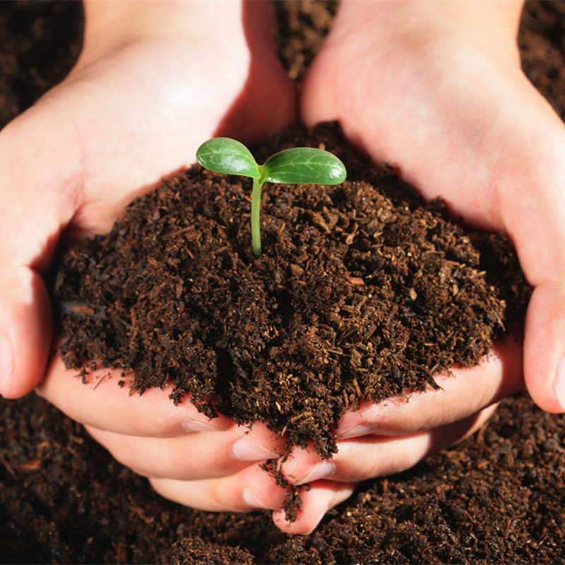 gardening Organic fertilizers expert To configure Nutrient flowers and plants Vegetables currency Flower mud Peat Flowers and soilin the Flower delivery/Flowers simulation/Plants gardening , Gardening supplies , Gardening Fertilizer/Nutrient/Nutrient solution category - from Buy2taobao.com to provide professional Taobao agent buy service