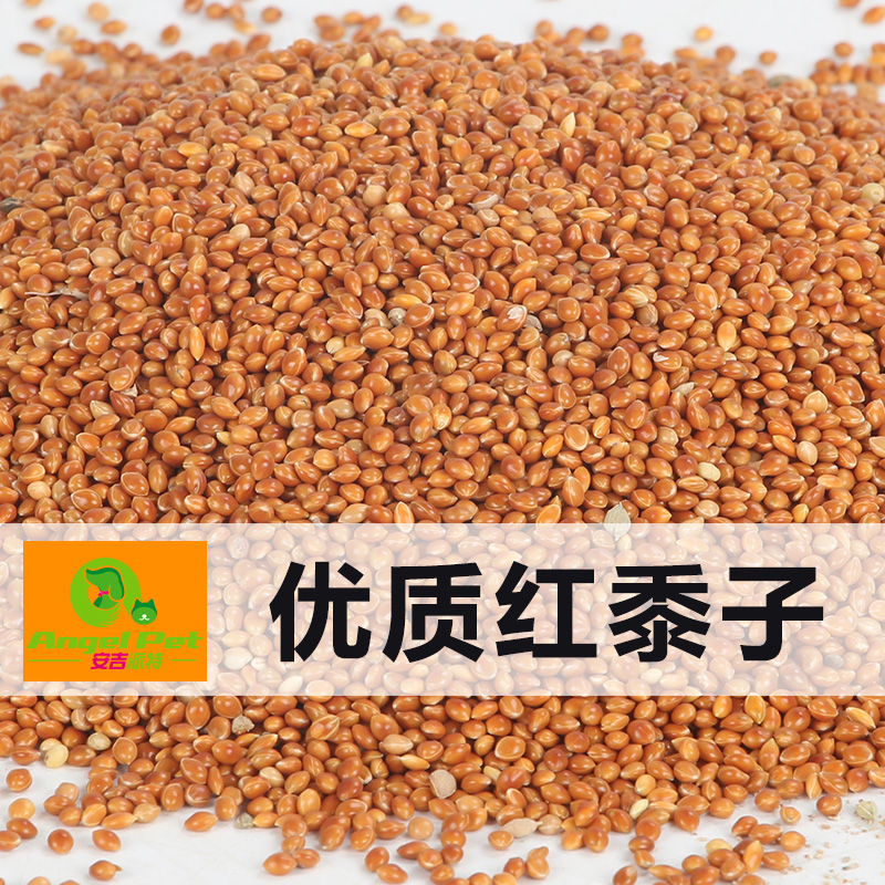 安吉派特 鹦鹉鳥糧虎皮牡丹玄鳳鳥食帶殼紅黍子鴿糧谷子大黃米在類目 寵物/寵物食品及用品, 鳥類及用品, 鳥食中 - 來自Buy2taobao.com提供專業的淘寶代購服務