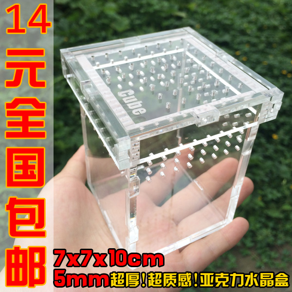 亚克力宠物蜘蛛盒 亚克力爬虫盒 爬行动物专用透明水晶盒 买2包邮在类目 宠物/宠物食品及用品, 爬虫/鸣虫及其用品, 爬虫/鸣虫用具中 - 来自Buy2taobao.com提供专业的淘宝代购服务