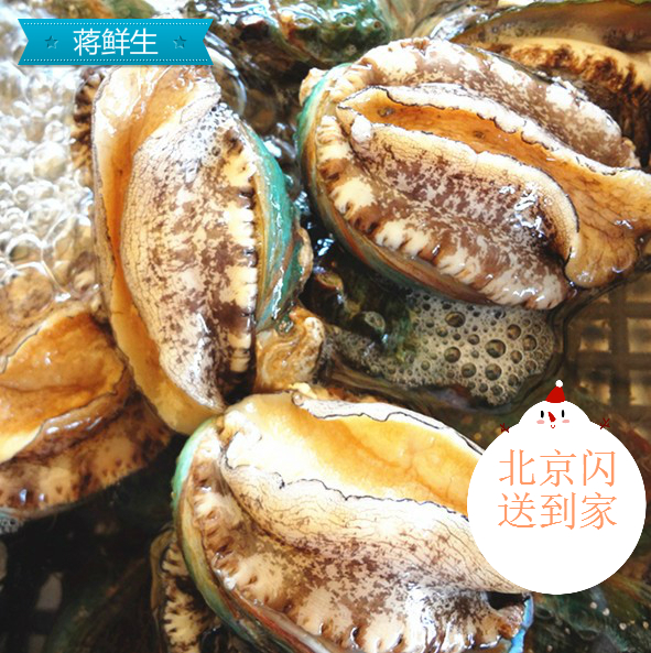 大連淨水養殖生態大鮑魚12—15頭每斤,單只的價格,在類目 水產肉類/新鮮蔬果/熟食, 海鮮/水產品/製品, 貝類, 鮑魚中 - 來自Buy2taobao.com提供專業的淘寶代購服務