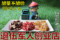 上下架计划:桂圆红枣茶枸杞茶 红枣干养肝补气血养气养颜养生茶30+2小包 包邮