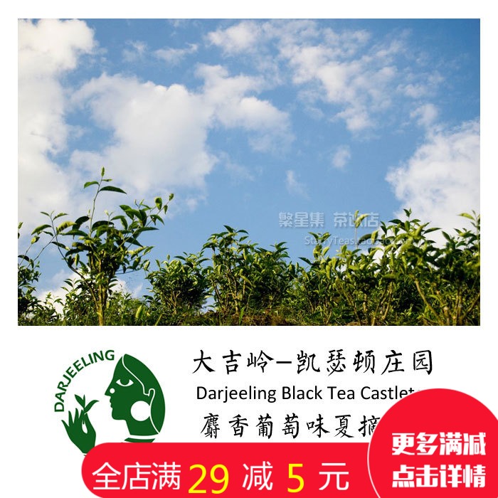 大吉嶺紅茶 凱瑟頓莊園 夏摘Castleton Muscatel天然花香蜜香茶在類目 收納整理, 家庭收納用具, 收納包, 其他收納包中 - 來自Buy2taobao.com提供專業的淘寶代購服務