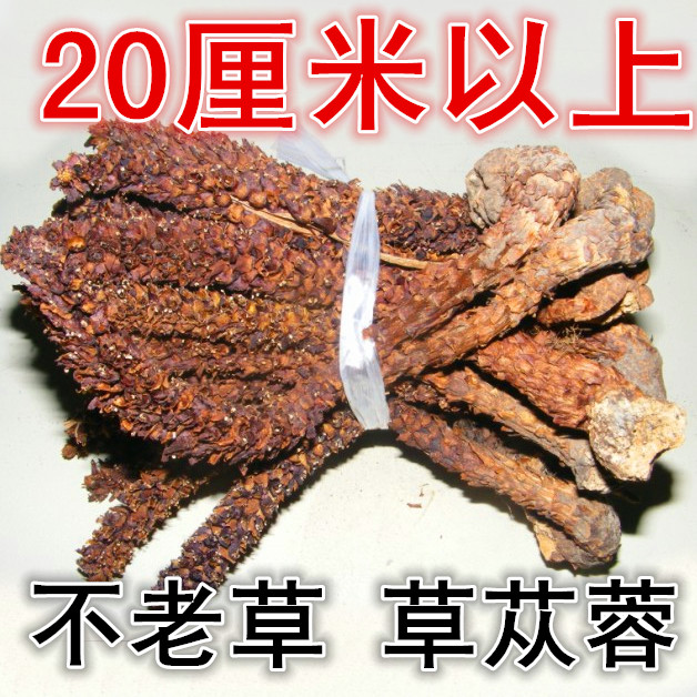 产地新货大兴安岭散装野生不老草茶山苞米泡酒列当苁茸药材一根|msdalam kategori makanan berkhasiat tradisional, Lain tonik tradisional, Bu Laocao - dari Buy2taobao.com untuk memberikan perkhidmatan ejen Taobao profesional membeli