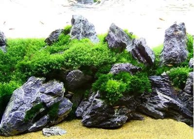 鱼缸造景水族箱造景青龙石 ADA造景石|ruв категории животное/Животное питание и принадлежностей, аквариум мира, аквариум аквариум оборудования и т.д., Другие аквариум приборов и оборудования - от Buy2taobao.com для оказания профессиональной услуги покупки агента Taobao