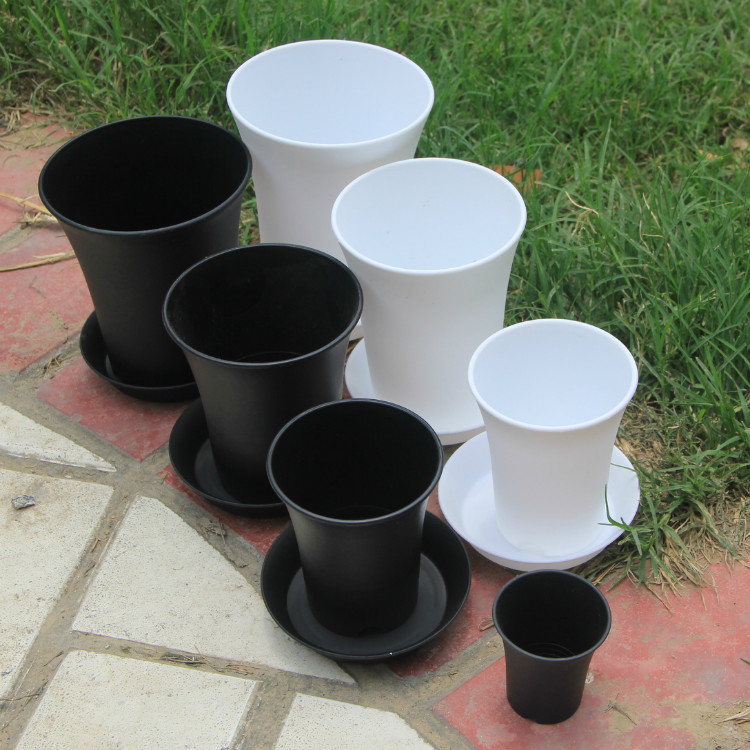 Succulents pots Sedum\Tetragonia\ Twelve volumes\Life\Wau\Vientiane Basin 3 Specifications Can be equipped with a trayin the Flower delivery/Flowers simulation/Plants gardening , Vase/Flower/Flowerpot/Flower (New) , Vase category - from Buy2taobao.com to provide professional Taobao agent buy service