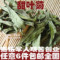 上下架计划:任意6件包邮 甜菊叶茶50g特级甜叶菊茶 无糖降血糖血脂去脂花草茶