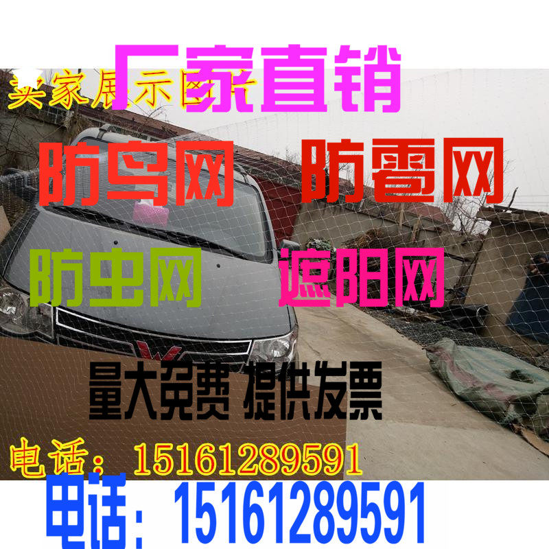 防鸟网免邮果园网葡萄网稻谷鱼塘尼龙网按斤销售量大优惠厂家直销