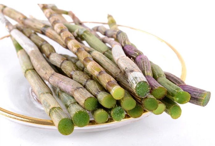 新鲜铁皮石斛枫斗鲜条特价500g99现要现采滋补养生泡酒特级.包邮在类目 传统滋补营养品, 其他传统滋补品, 传统滋补品其他中 - 来自Buy2taobao.com提供专业的淘宝代购服务