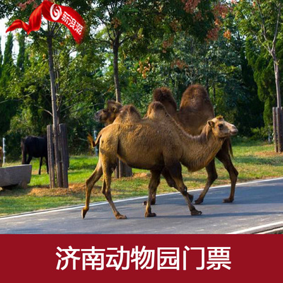 [Electronic ticket Immediately Ji'nan Zoo admission ticket Ji'nan Zoo Electronic ticketin the Attraction tickets/Live performance/Theme Parks , Domestic Ticketing category - from Buy2taobao.com to provide professional Taobao agent buy service