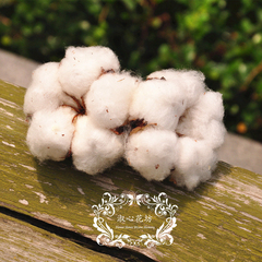 日本永生花价格|图片_日本永生花趣味推荐_安