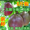 上下架计划:现货 广西特产 百香果 西番莲 优质 新鲜 水果 5斤装 地区包邮