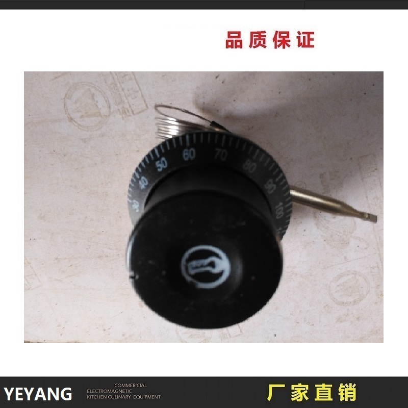 保溫售飯台專用溫控儀/控溫儀溫控器高端商用廚房設備在類目 廚房電器, 商用廚電, 其他商用廚電中 - 來自Buy2taobao.com提供專業的淘寶代購服務