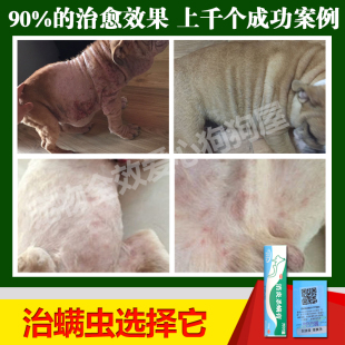 治疗狗狗皮肤病特效药品真菌螨虫猫癣痒宠物非喷剂金盾消炎杀螨膏