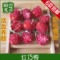 上下架计划:任意6款包邮特级红巧梅（妃子红）花草茶活血美白消斑防电脑辐射