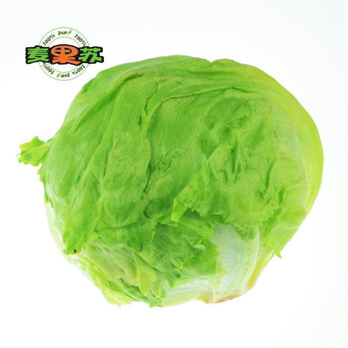 西生菜新鲜沙拉蔬菜满138顺丰包邮汉堡生菜球生菜麦果苏精品菜|msdalam kategori daging perikanan/Buah-buahan segar dan sayur-sayuran/dimasak, sayur-sayuran segar/Vegetable Products, sayur-sayuran segar, lain - dari Buy2taobao.com untuk memberikan perkhidmatan ejen Taobao profesional membeli