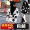 上下架计划:秋季上衣外套女学生 春秋冬韩版单件潮 拉链带帽韩国太空棉卫衣女