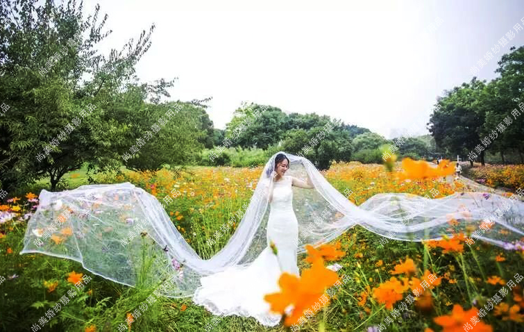 细沙 白纱 新娘婚纱拖尾超长韩式飘逸长款拍照头纱 特价5米10米|msdalam kategori Aksesori/Belt kulit/Hat/Muffler, aksesori pakaian perkahwinan, Veil - dari Buy2taobao.com untuk memberikan perkhidmatan ejen Taobao profesional membeli
