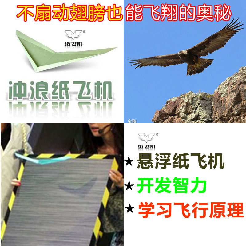 沖浪紙飛機快樂大本營懸浮紙飛機全國賽專用兒童益智手工折疊飛機在類目 玩具/童車/益智/積木/模型, 電動/遙控/慣性/發條玩具, 電動/遙控飛機中 - 來自Buy2taobao.com提供專業的淘寶代購服務