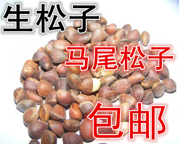 新货产地大兴安岭野生小马尾松子坚果偃原味不开口皮薄鼠粮食一斤|msdalam kategori makanan ringan/Nuts/Specialty, Hickory/Nuts/pemanggangan, kacang pain - dari Buy2taobao.com untuk memberikan perkhidmatan ejen Taobao profesional membeli