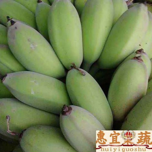新鮮香蕉 蘋果蕉新鮮包郵順豐5斤裝 吃壹次能愛上的蕉 惠宜果蔬在類目 水產肉類/新鮮蔬果/熟食, 新鮮水果, 香蕉中 - 來自Buy2taobao.com提供專業的淘寶代購服務