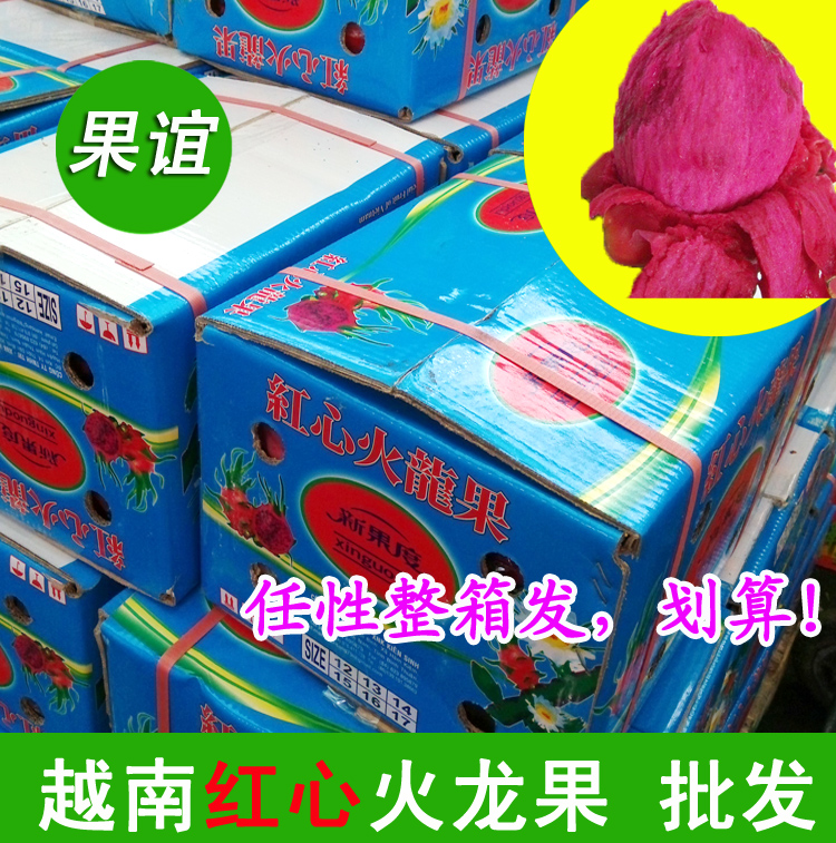越南紅心火龍果大果整箱約15斤有壞包賠團購價沖銷量江浙滬皖包郵在類目 水產肉類/新鮮蔬果/熟食, 新鮮水果, 火龍果中 - 來自Buy2taobao.com提供專業的淘寶代購服務
