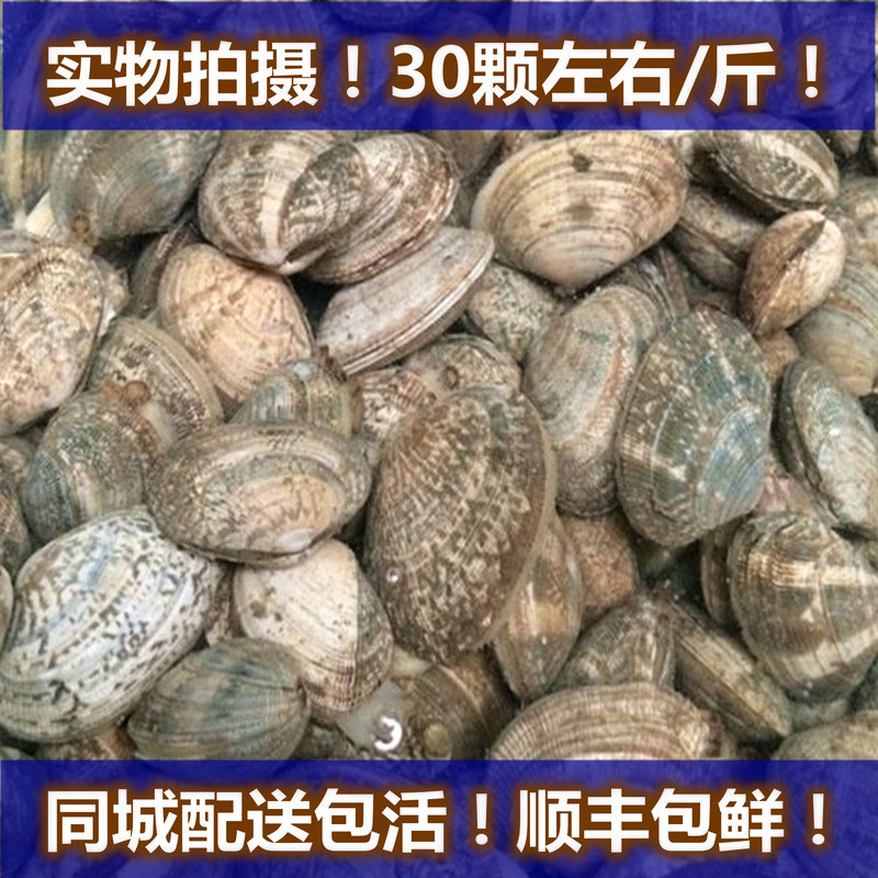 花蛤鮮活 即食無沙花甲蛤蜊新鮮海鮮水産500g在類目 水產肉類/新鮮蔬果/熟食, 海鮮/水產品/製品, 貝類, 貝類製品中 - 來自Buy2taobao.com提供專業的淘寶代購服務